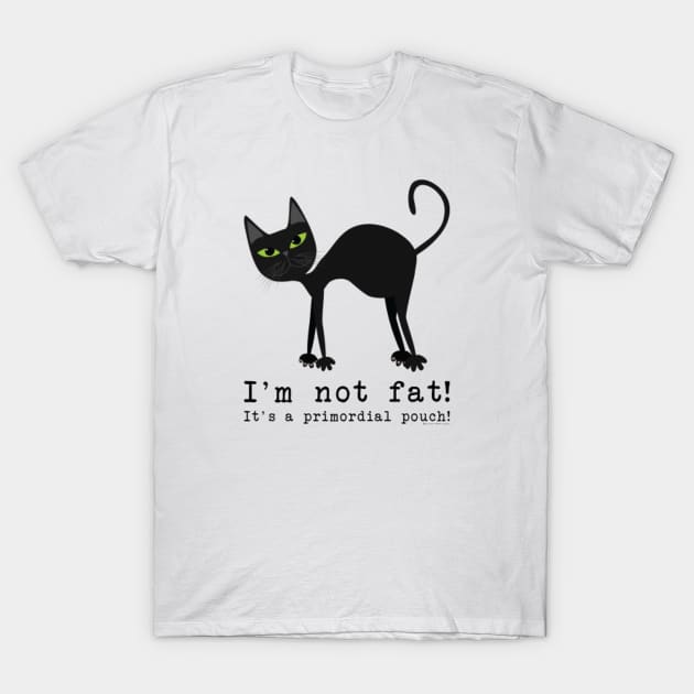 Shirt with top pouch for cat